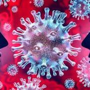 large_coronavirus-human-to-human-virus-transmission-1.jpg
